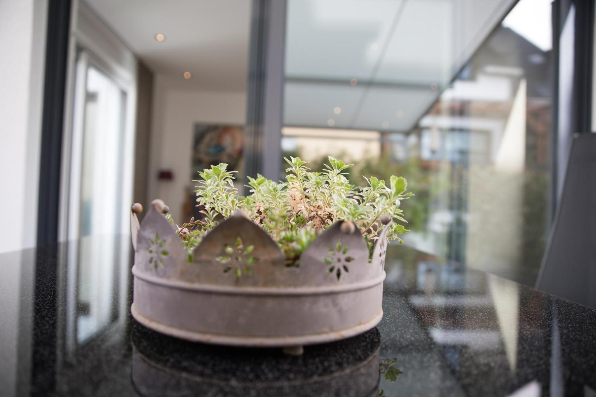 Neu - Moselauszeit Traben Apartment Exterior photo